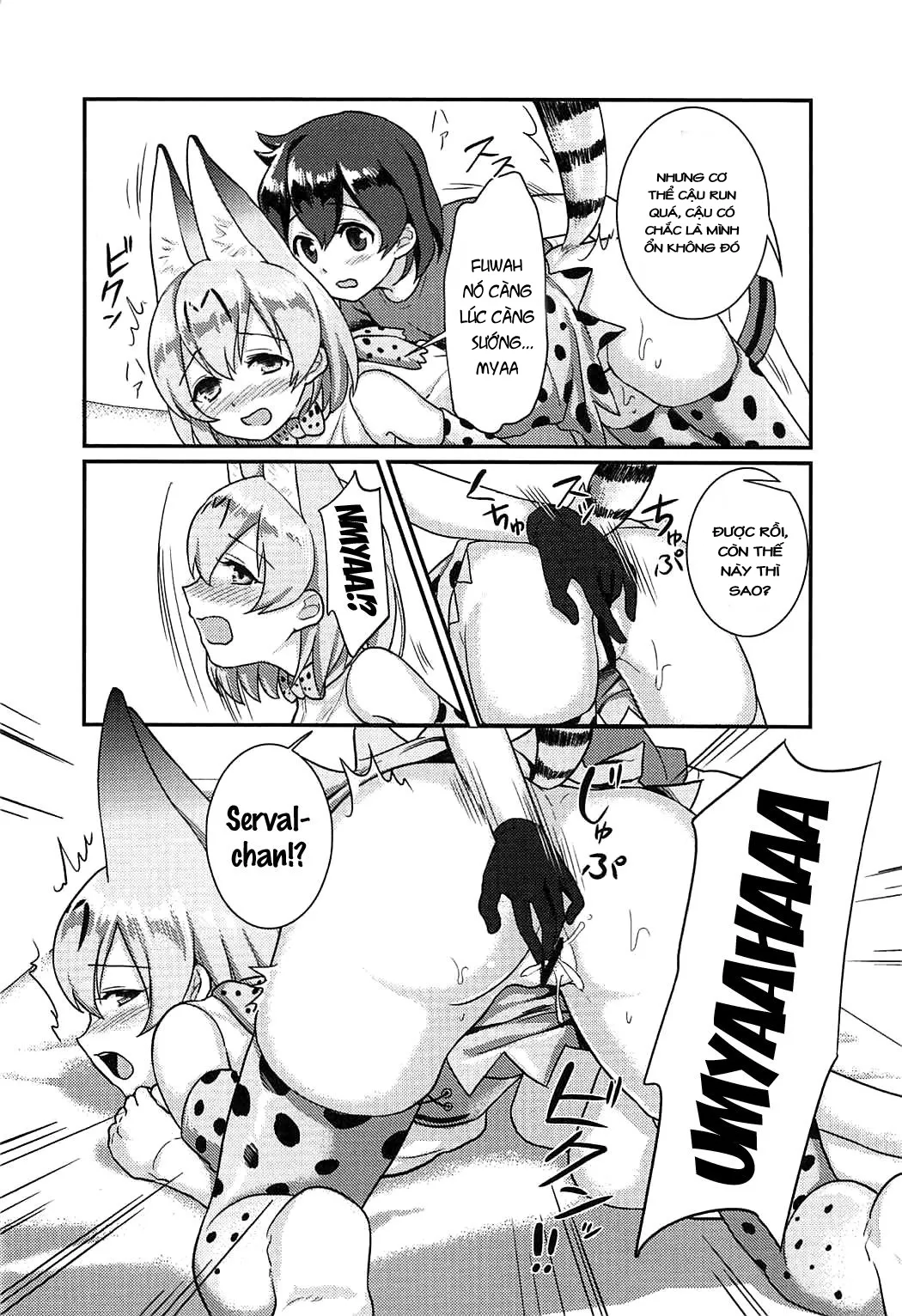 HentaiVN.net - Ảnh 14 - Daisuki ni Kimatteru!! (Kemono Friends) - Chap 1