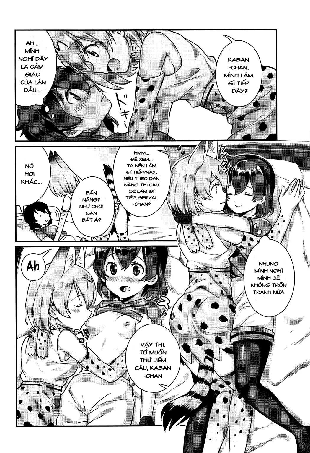 HentaiVN.net - Ảnh 7 - Daisuki ni Kimatteru!! (Kemono Friends) - Chap 1