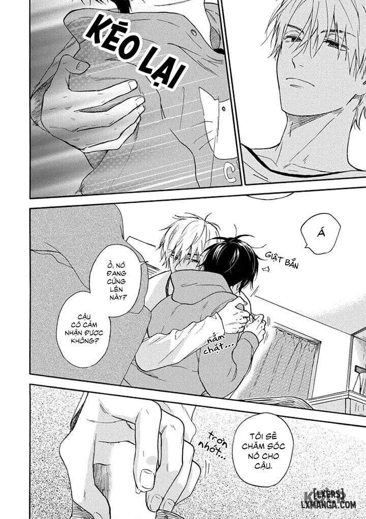 HentaiVN.net - Ảnh 27 - Tadareta Koi ni wa Itashimasen! - Chap 1