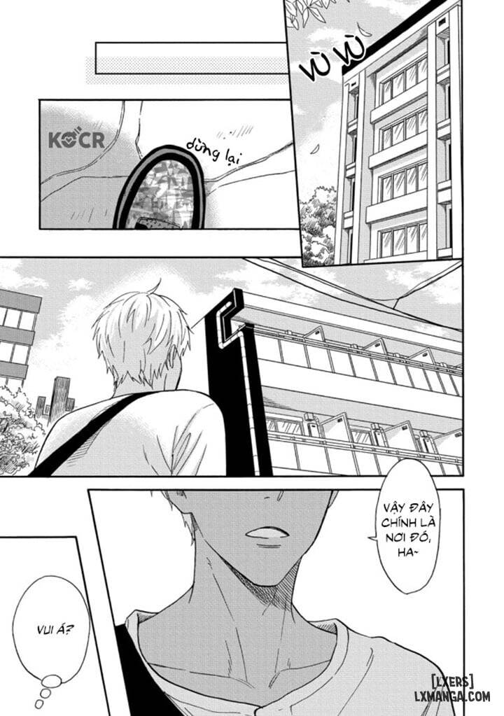 HentaiVN.net - Ảnh 10 - Tadareta Koi ni wa Itashimasen! - Chap 3