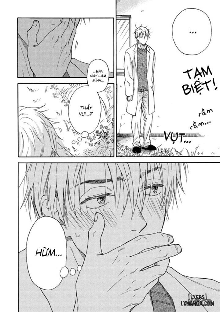 HentaiVN.net - Ảnh 9 - Tadareta Koi ni wa Itashimasen! - Chap 3