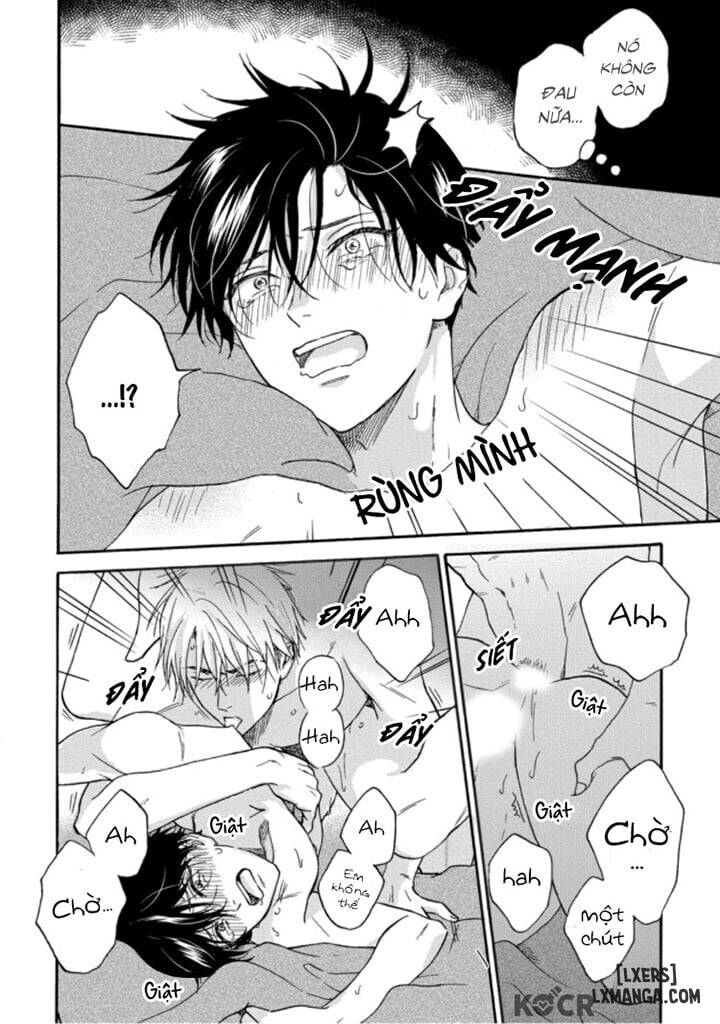 HentaiVN.net - Ảnh 33 - Tadareta Koi ni wa Itashimasen! - Chap 5