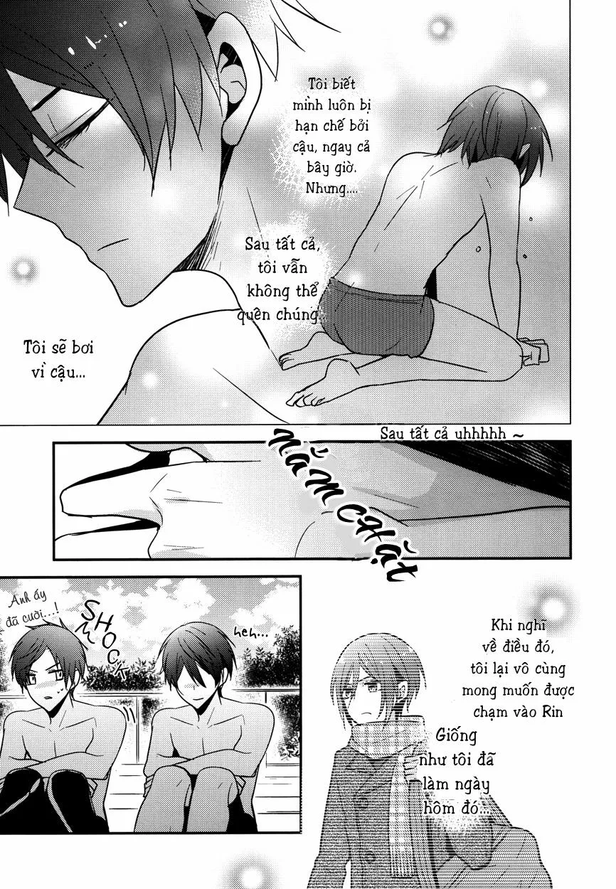 HentaiVN.net - Ảnh 8 - Secret Joy (Free!) - Chap 1