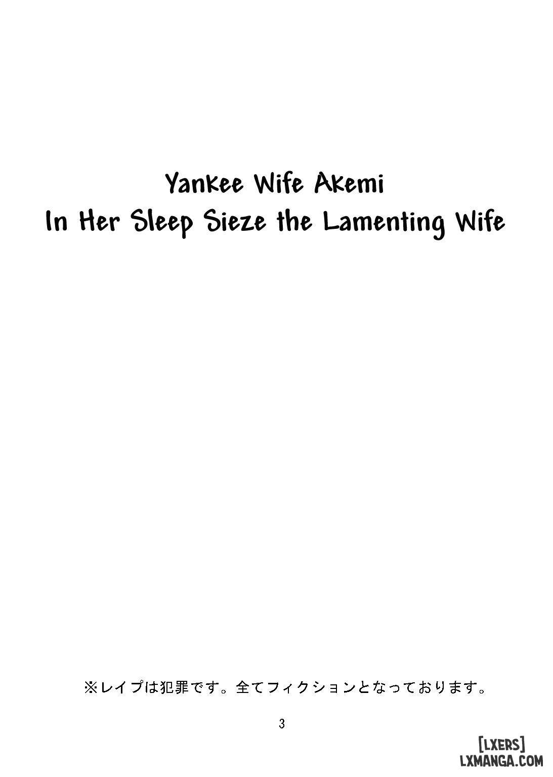 HentaiVN.net - Ảnh 3 - Yankee Zuma Akemi - Chap 1
