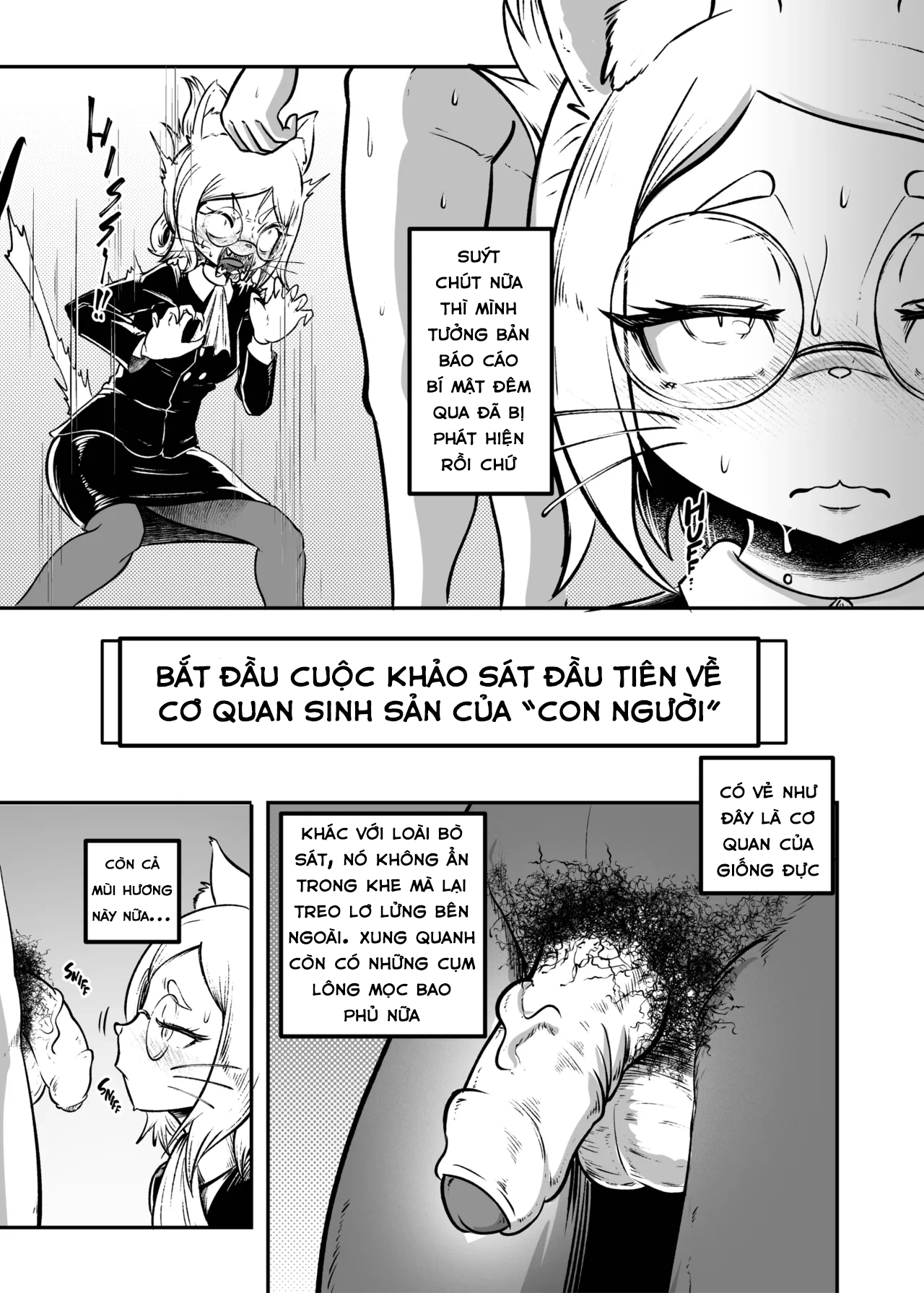 HentaiVN.net - Ảnh 8 - báo cáo mật - Chap 1