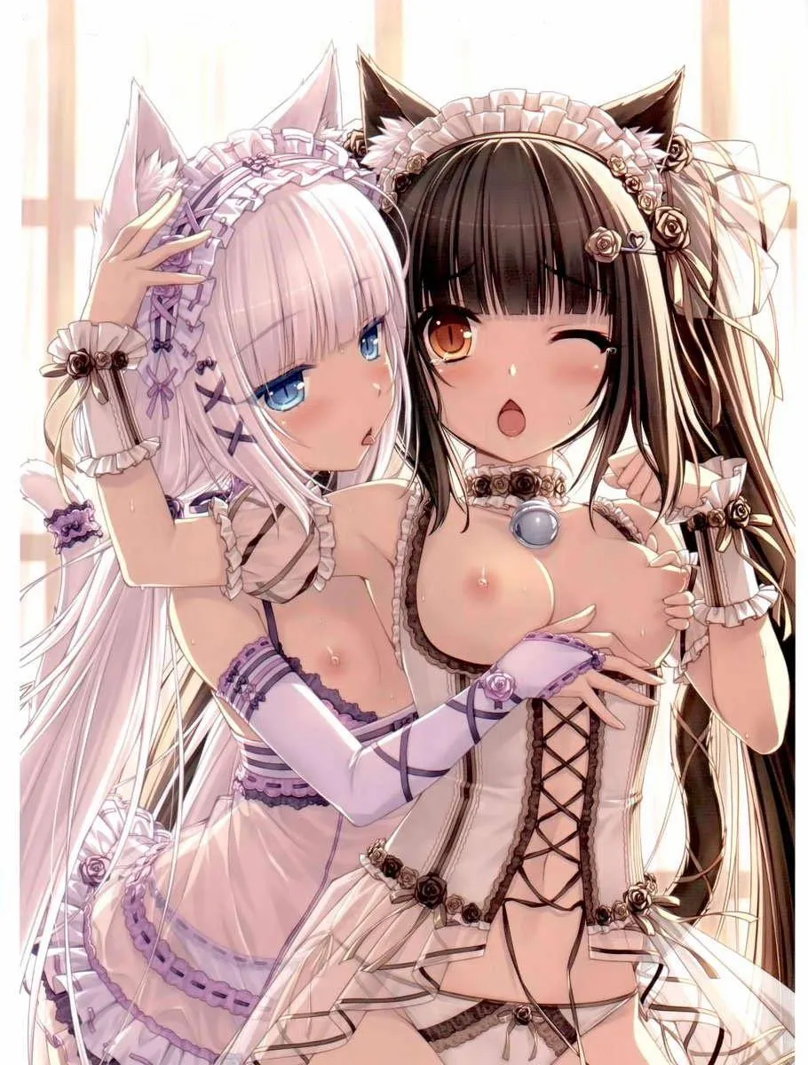 HentaiVN.net - Ảnh 4 - Neko Para 01 - Chap 1
