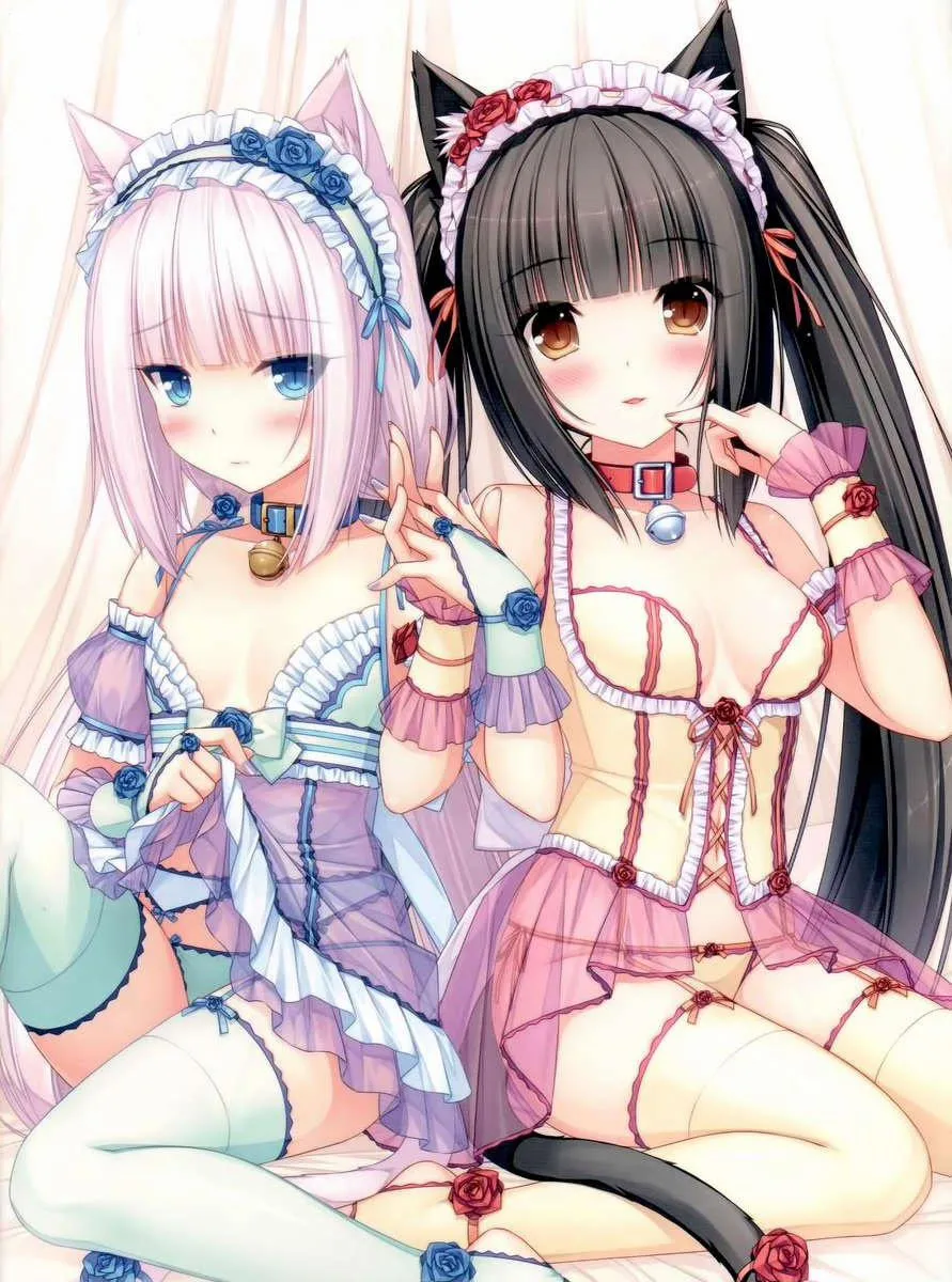 HentaiVN.net - Ảnh 6 - Neko Para 01 - Chap 1