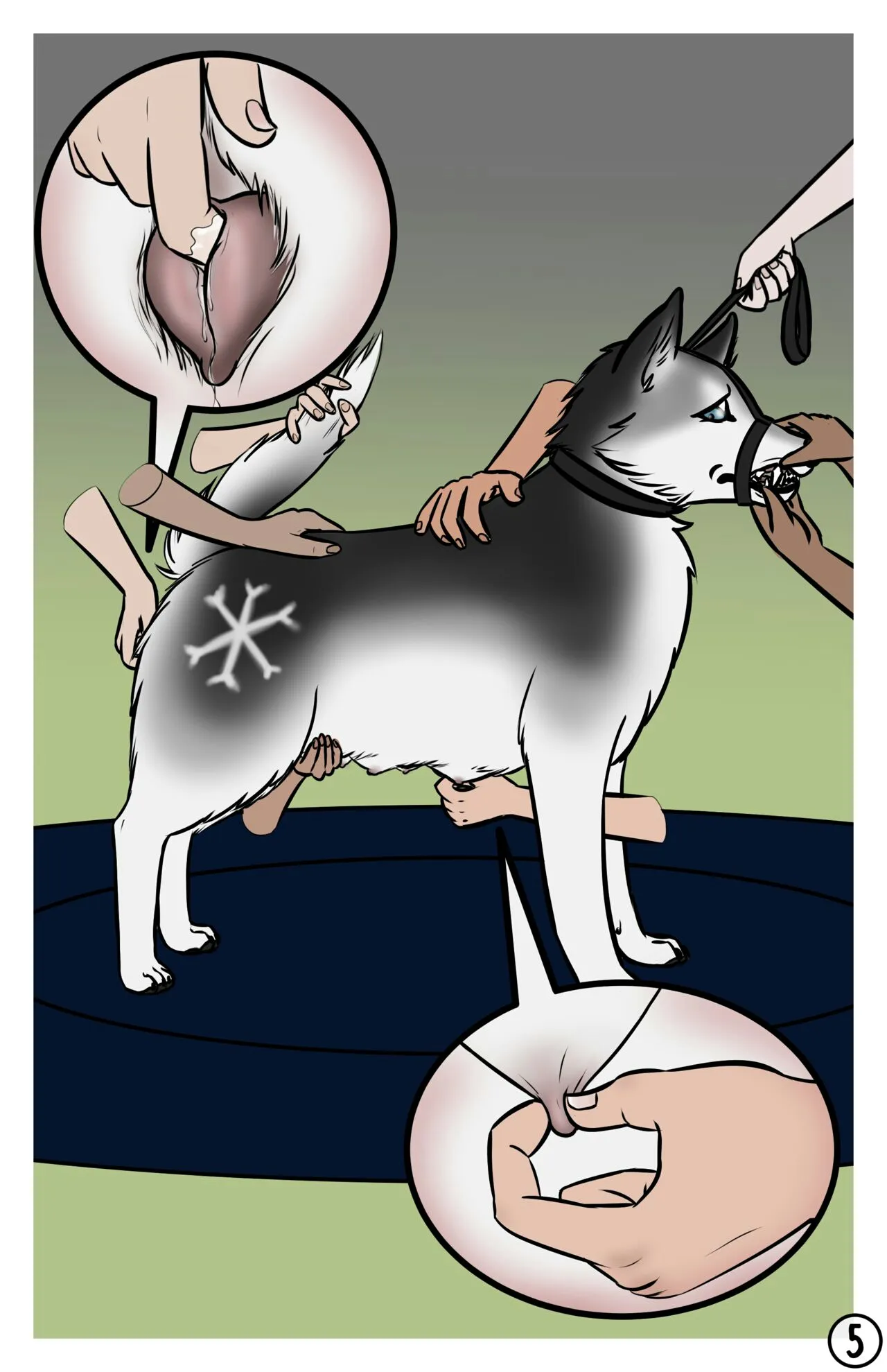HentaiVN.net - Ảnh 7 - The Dog Show - Chap 1
