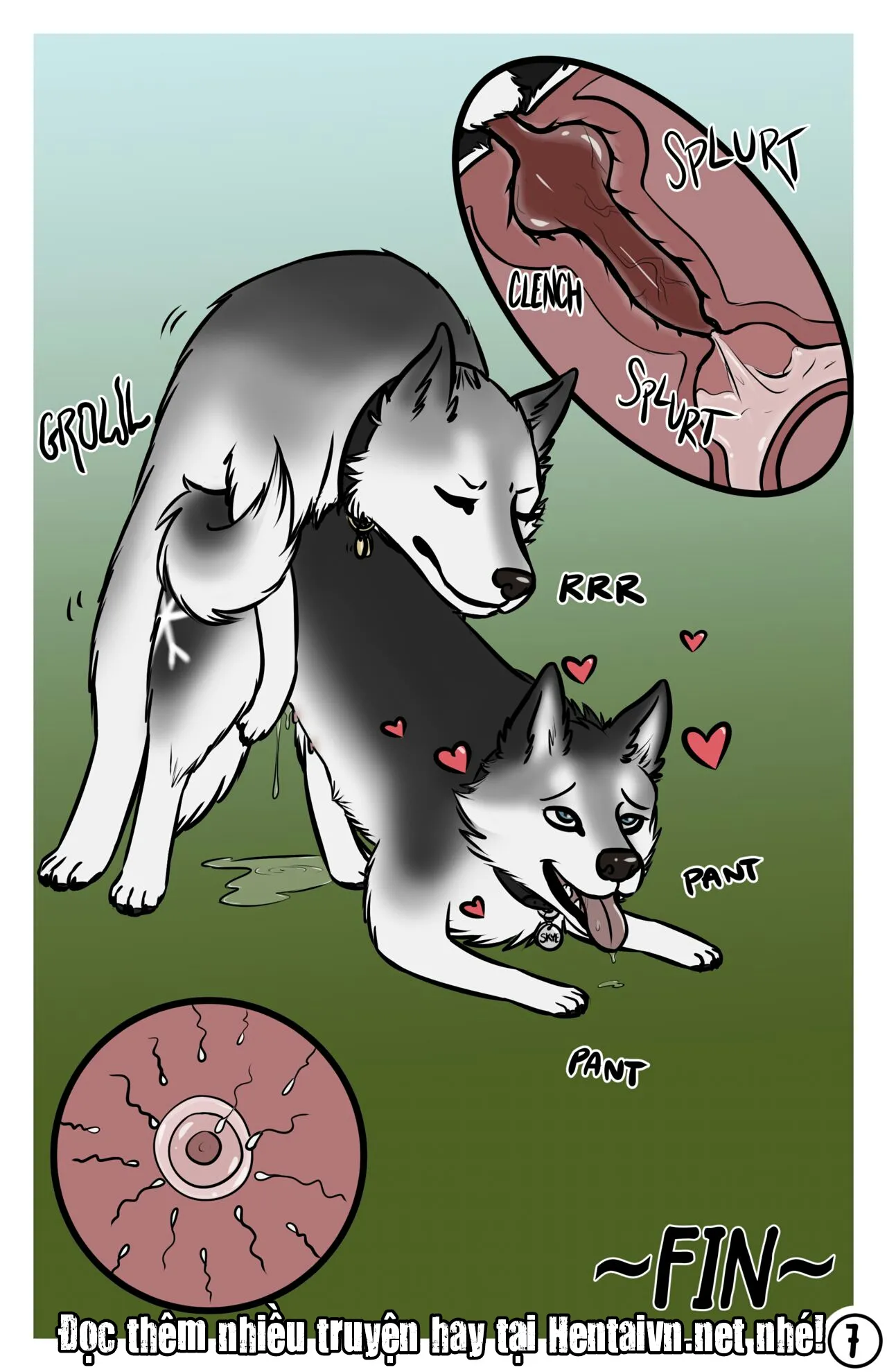 HentaiVN.net - Ảnh 9 - The Dog Show - Chap 1
