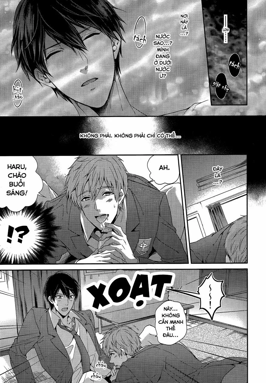 HentaiVN.net - Ảnh 4 - Otonamuke Free no Freedom na Hon (Free!) - Chap 1