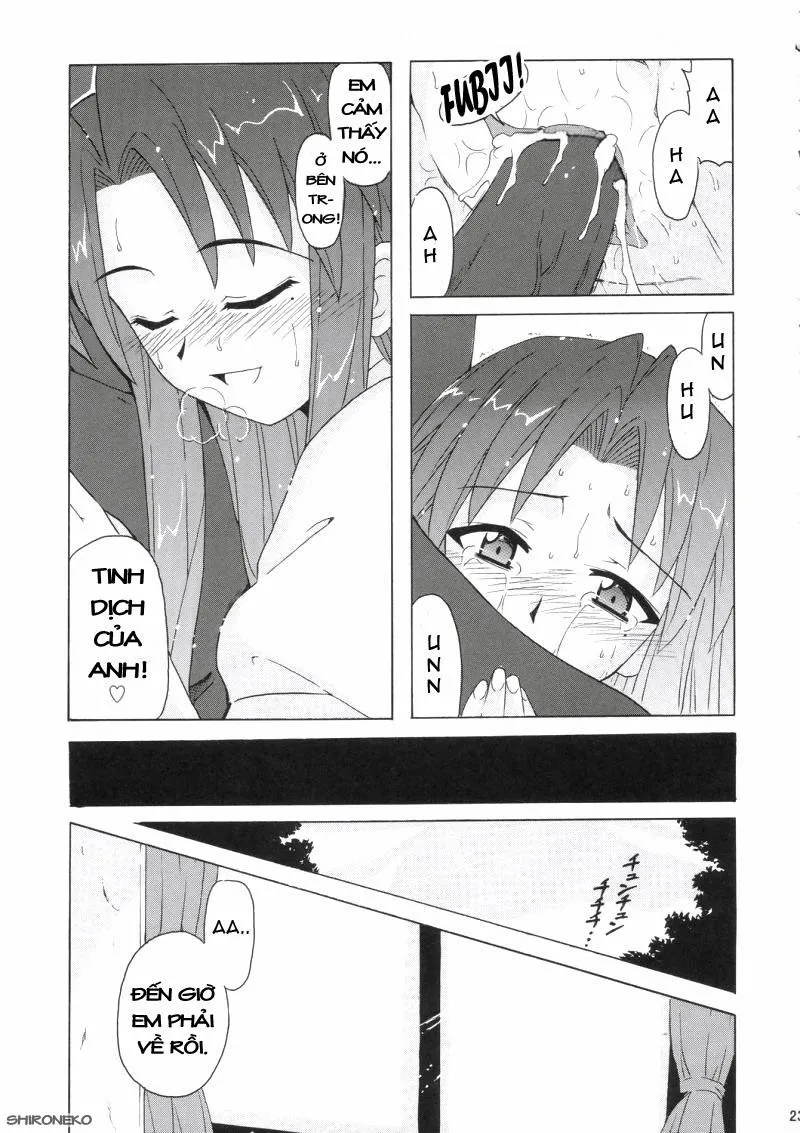 HentaiVN.net - Ảnh 23 - if CODE 05 Chizuru (Mahou Sensei Negima!) - Chap 1