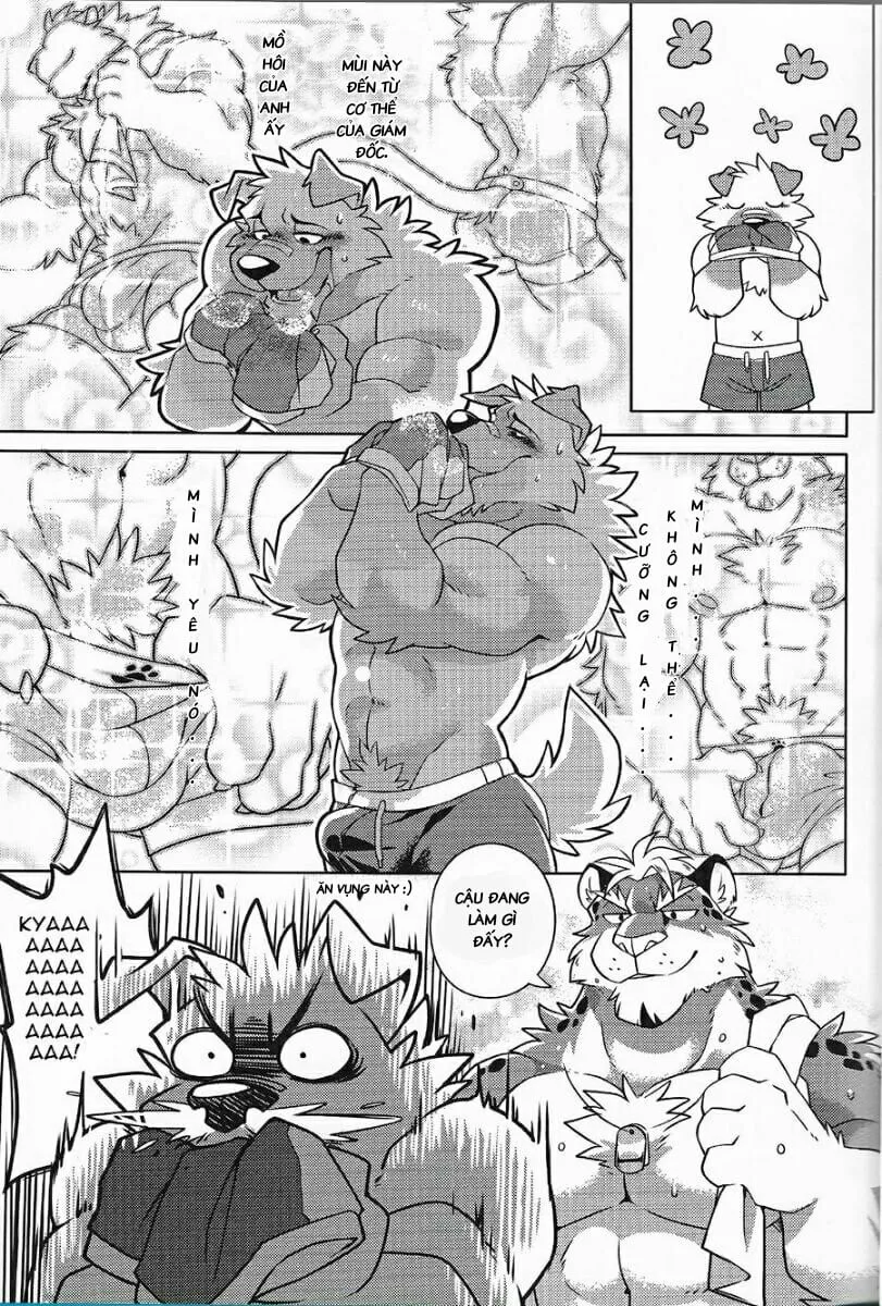 HentaiVN.net - Ảnh 10 - Warm Up - Chap 1