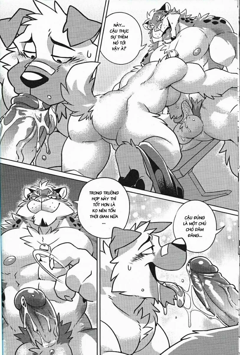 HentaiVN.net - Ảnh 13 - Warm Up - Chap 1