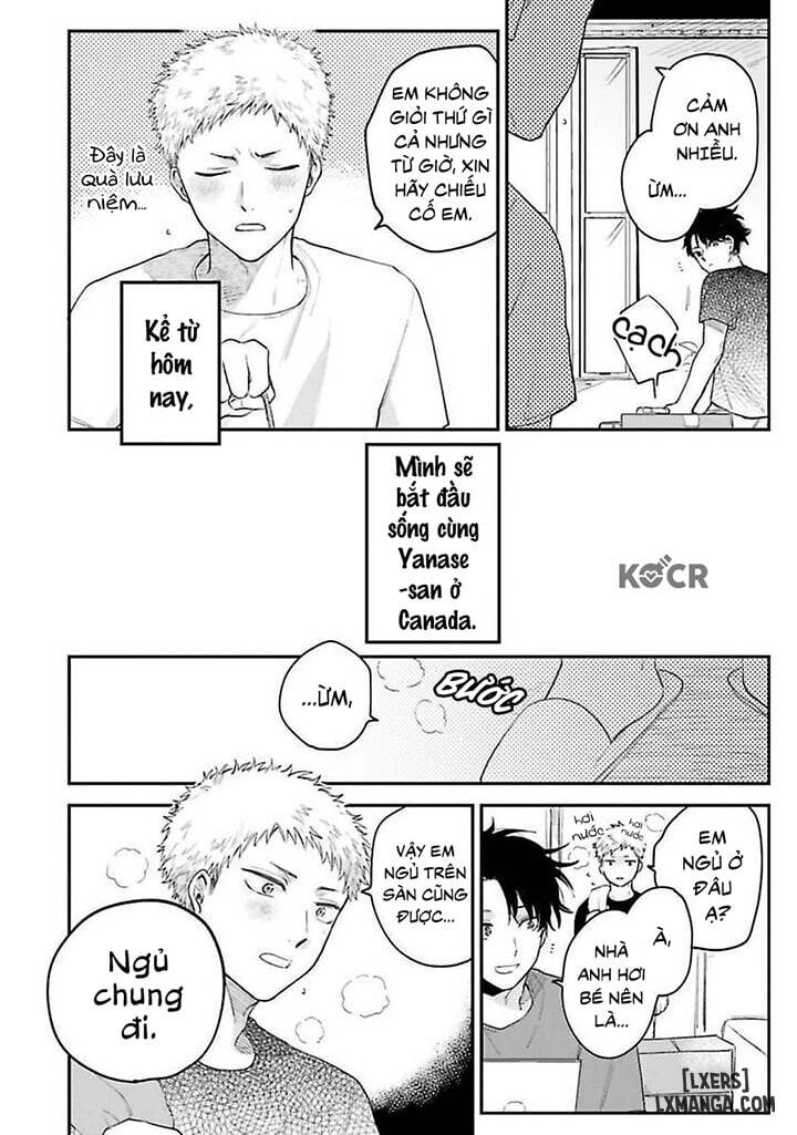 HentaiVN.net - Ảnh 3 - Senpai, Danjite Koidewa! - Chap 6
