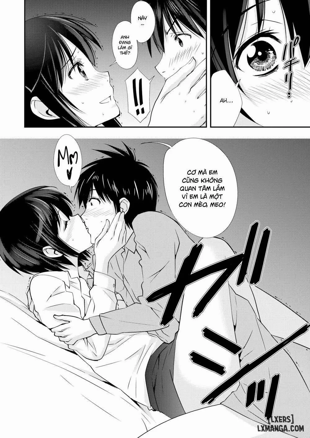 HentaiVN.net - Ảnh 10 - A Cat Night - Chap 1