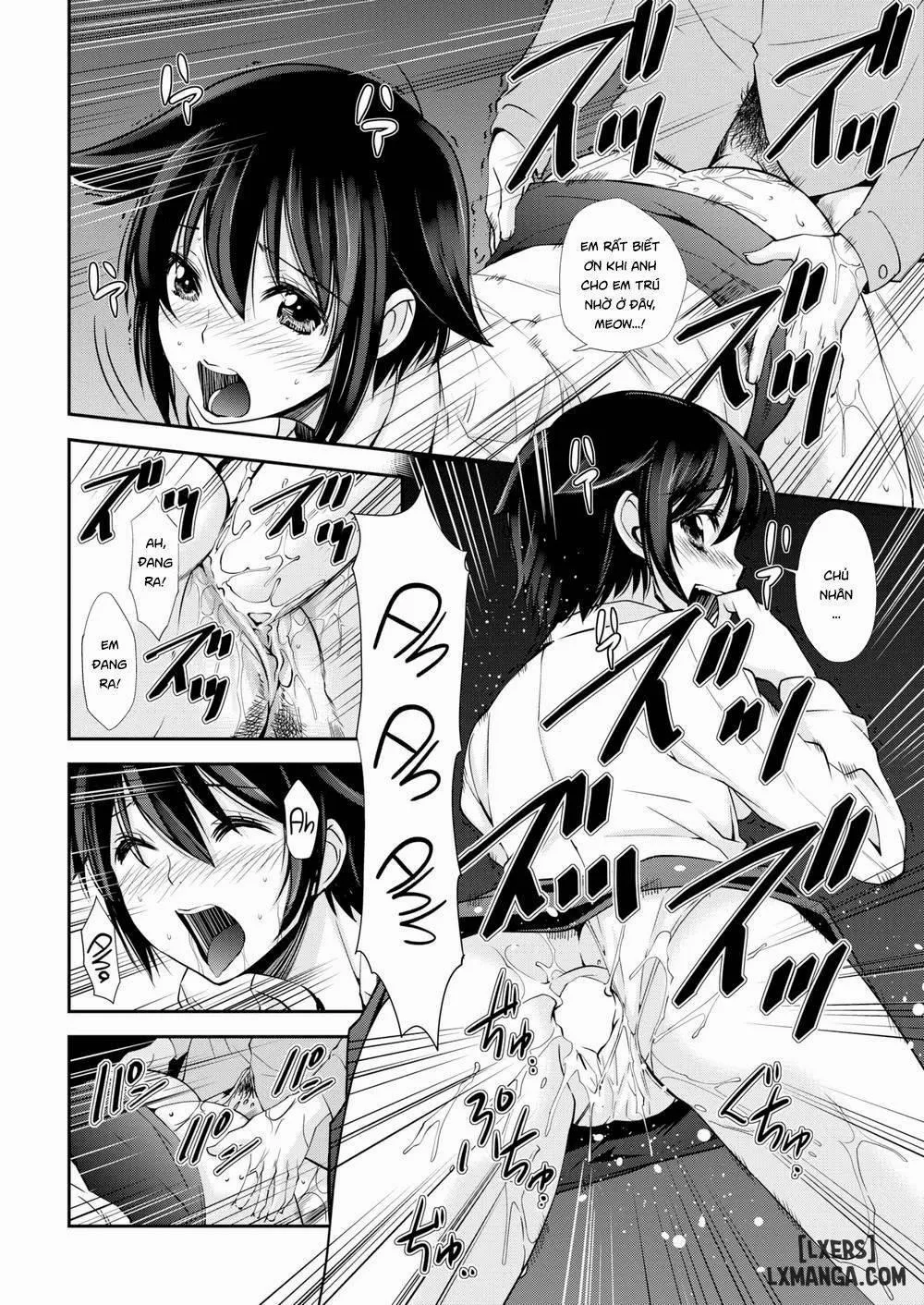 HentaiVN.net - Ảnh 14 - A Cat Night - Chap 1