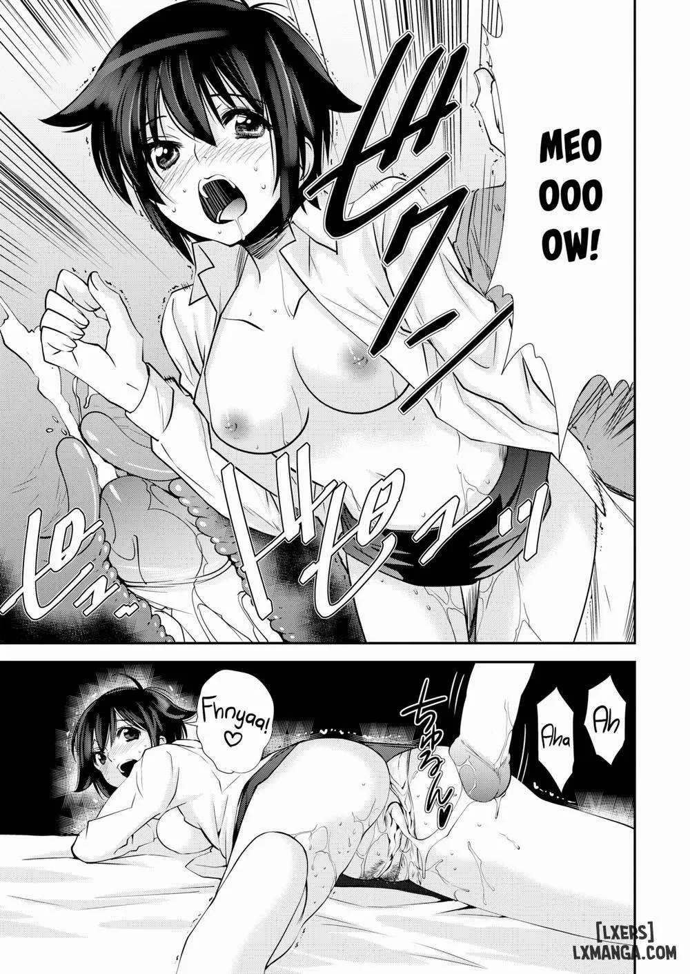 HentaiVN.net - Ảnh 15 - A Cat Night - Chap 1