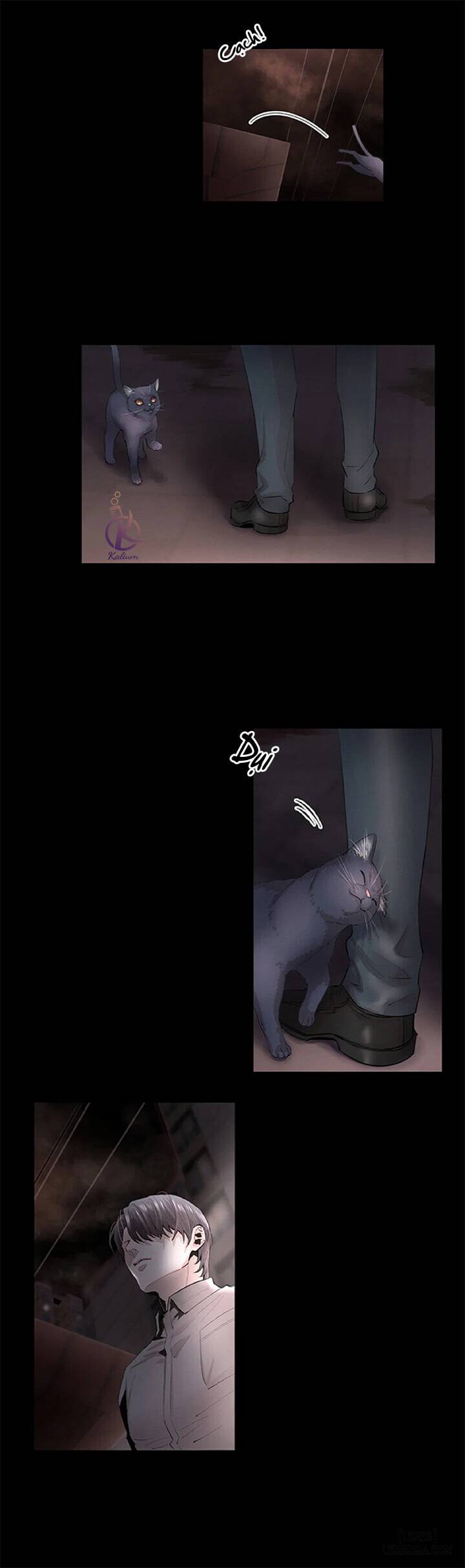 HentaiVN.net - Ảnh 3 - Phi âu bất hạ - Chap 2