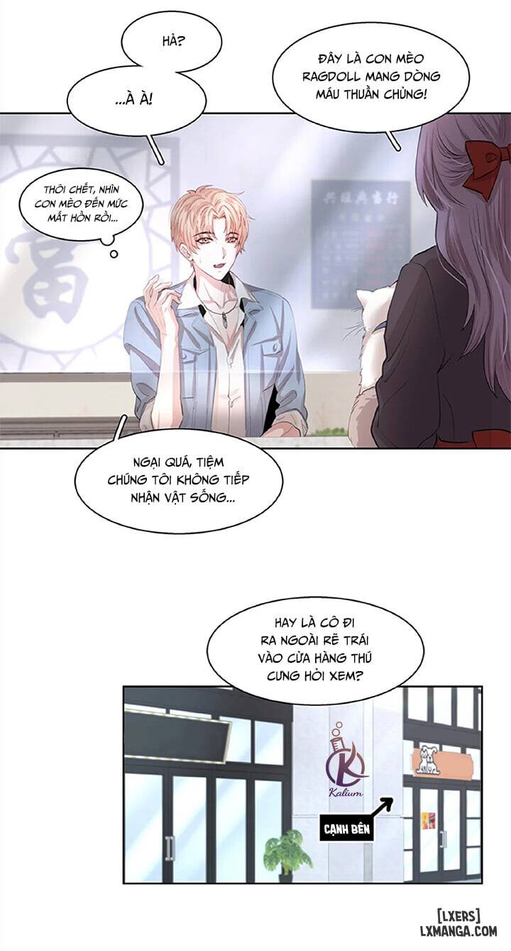 HentaiVN.net - Ảnh 6 - Phi âu bất hạ - Chap 2