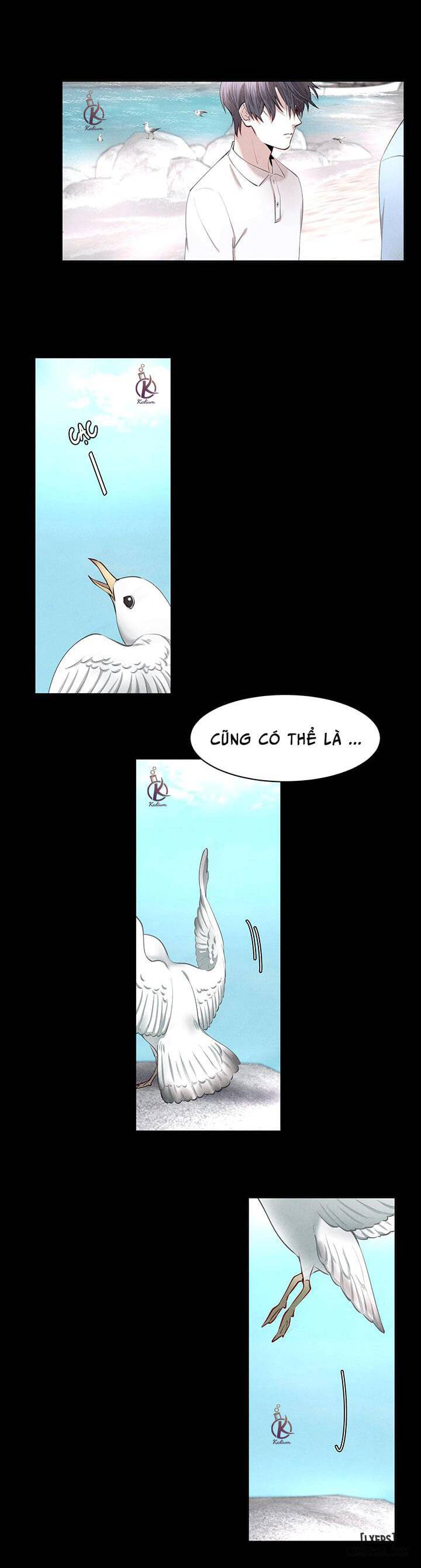 HentaiVN.net - Ảnh 4 - Phi âu bất hạ - Chap 8