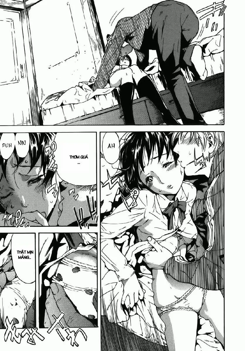 HentaiVN.net - Ảnh 11 - Shiawase Dearu You Ni Zenpen - Chap 1