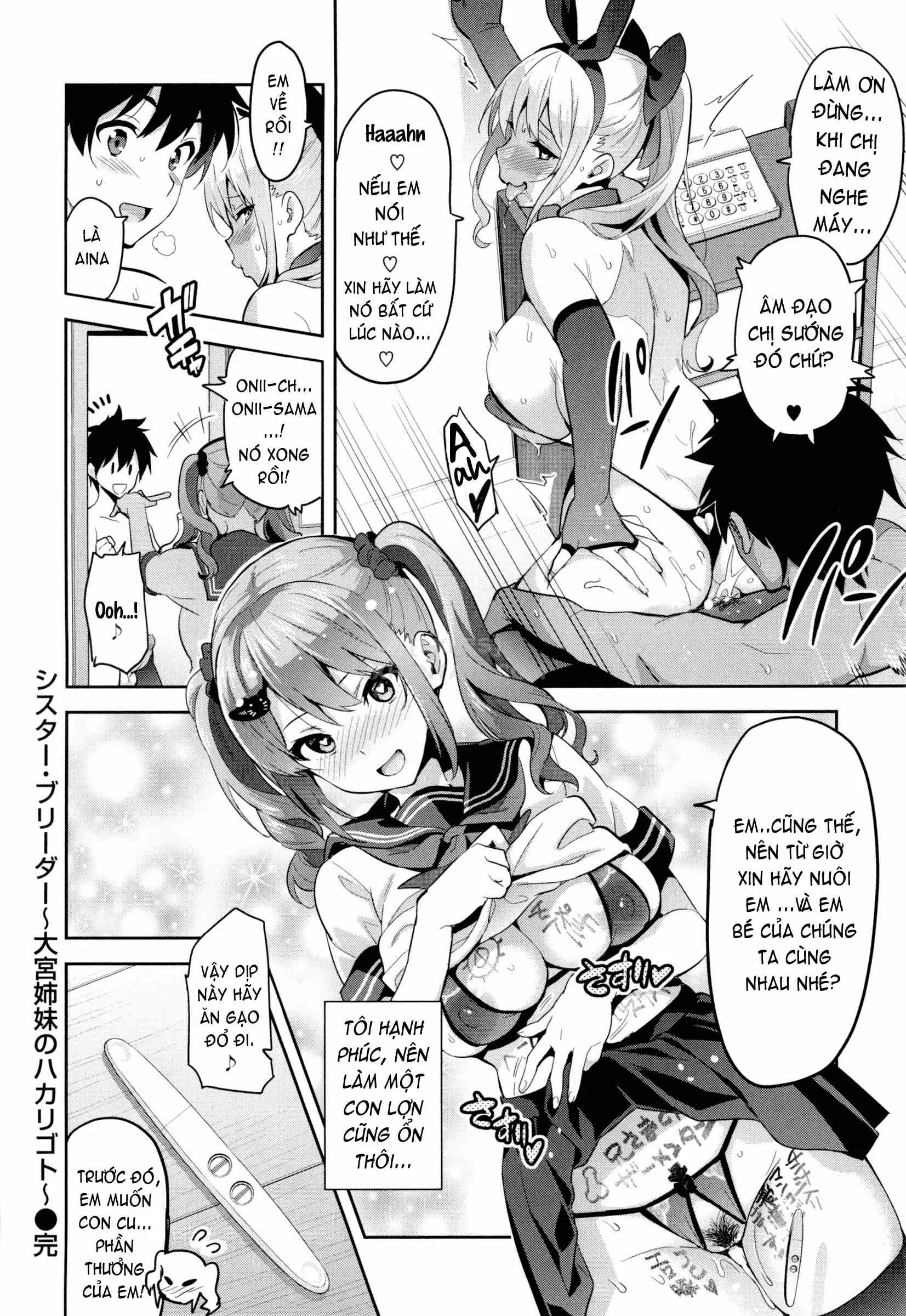 HentaiVN.net - Ảnh 24 - Sister Breeder - Chap 8