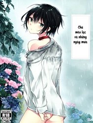 Chú mèo lạc và những ngày mưa [Nora Neko to Rainy Days; のらねことレインデイズ]