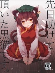 Senjitsu Tasukete Itadaita desu. (Touhou) [I'm the Black Cat You Helped Out the Other Day.]
