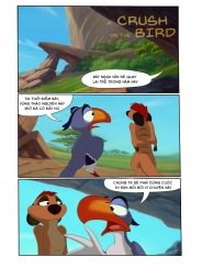 Crush một con chim [A crush on the Bird]