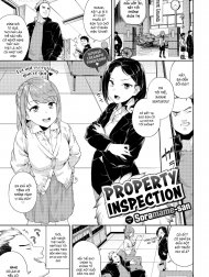 Property Inspection