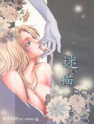 Tiểu miêu đi lạc (Bleach) [Stray Cat; Mayoi Neko]