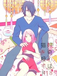 Curiosity killed the cat [Koukishin wa Neko o Korosu]