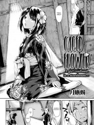 Caged Flower [Comic Kairakuten BEAST 2017-05]