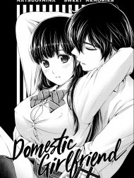 Bạn gái chung nhà [Domestic na kanojo]