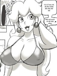 Peachs Beach Adventure (Super Mario Bros)