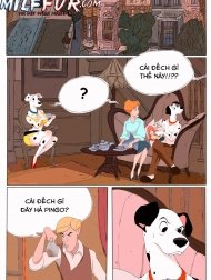BAD PINGO