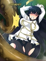 Hell Of Swallowed Ninja - Ikaruga (Senran Kagura)