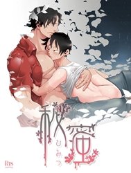 Himitsu (One Piece) [Secret]