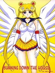 Burning Down The House (Sailor Moon)