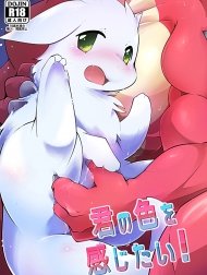 Kimi no Iro o Kanjitai!