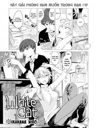 Mèo trắng [white cat]