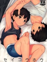 Seikouhou