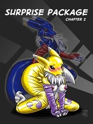 Surprise Package (Digimon)