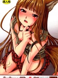 Shiawase o Ushinau Naraba Kinyoku Nado Gu no Kocchou (Sói và gia vị) [幸せを失うのならば禁欲など愚の骨頂]