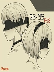 2B 9S (Nier:Automata)