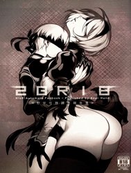 NieR: 2BR18 (NieR: Automata)