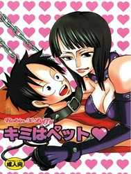 Kimi wa Pet (One Piece)