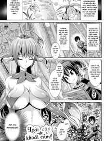 Mandragora of Pleasure