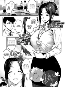 Shirotaegiku [Dusty miller]