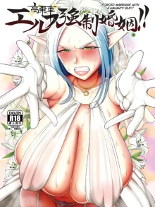 Takabisha Elf Kyousei Konin